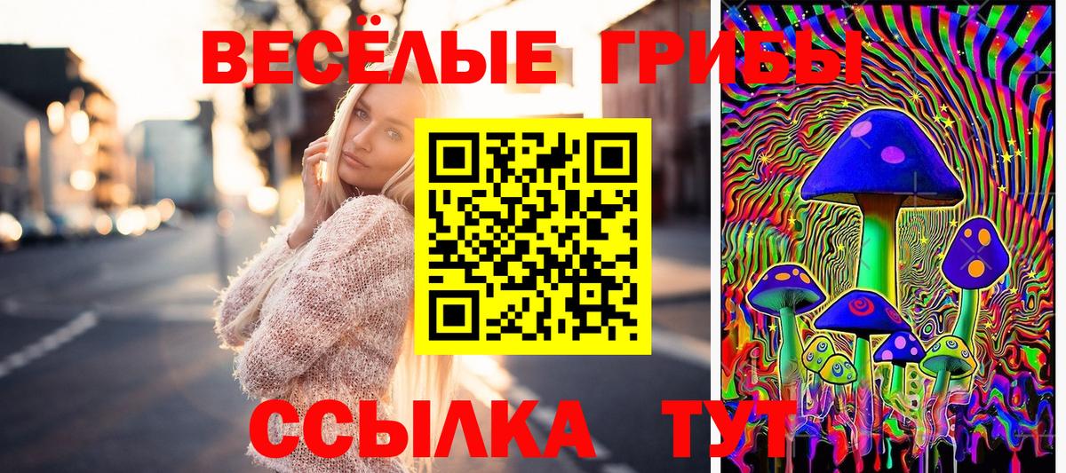 Галлюциногенные грибы Psilocybe  Вход с VPN  Всеволожск 